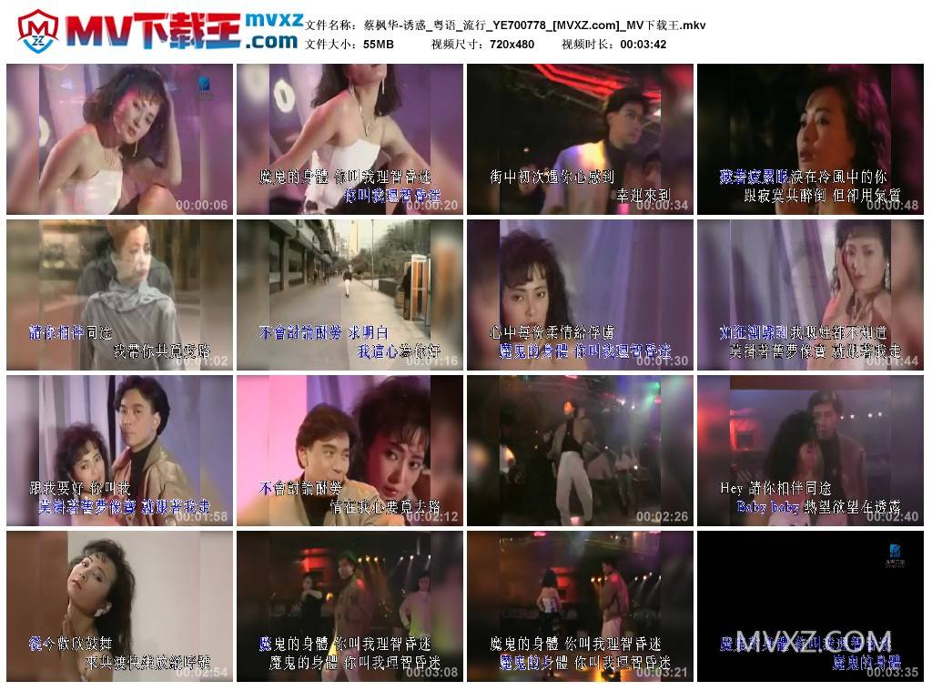 蔡枫华-诱惑_粤语_流行_YE700778